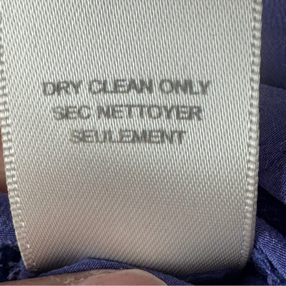 Rebecca Taylor Size 2 Dancing Dress Cornflower Ruffles Sleeveless 100% Silk - Picture 6 of 8